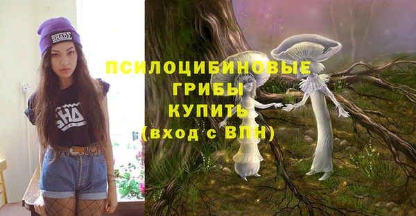 герыч Арсеньев