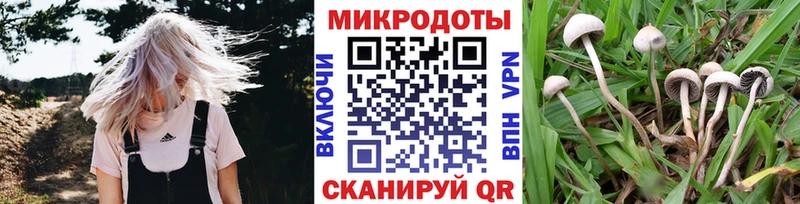Псилоцибиновые грибы Cubensis  Купить где  Россошь 